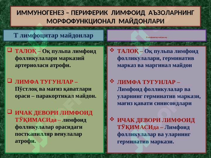 ИММУНОПАТОЛОГИК ЖАРАЁНЛАР 3