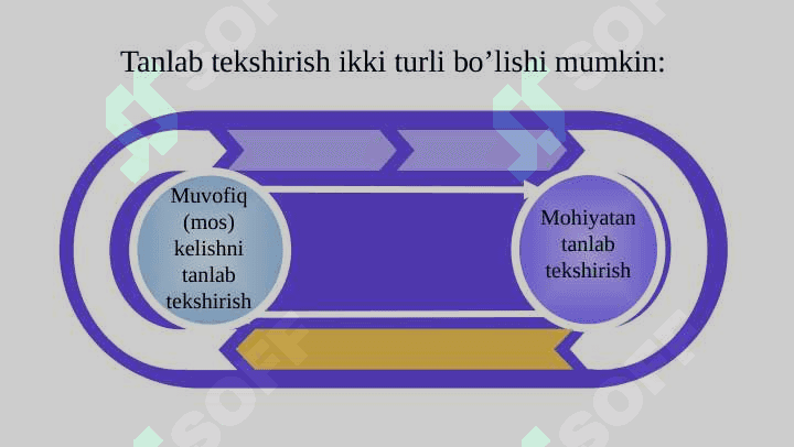 Auditorlikni tanlash PPTX 4