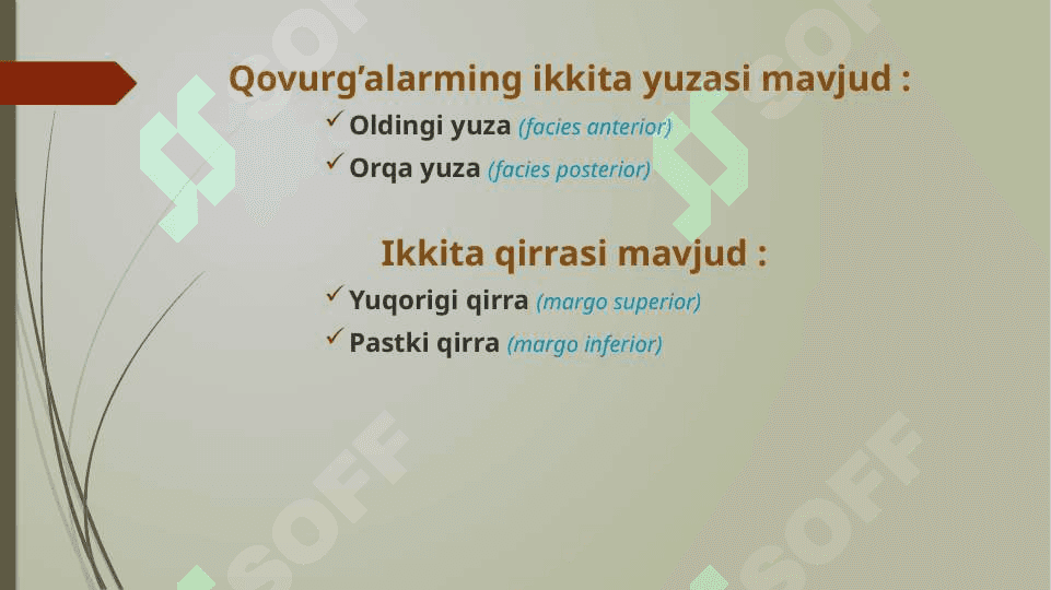 Qovurg’alar 4