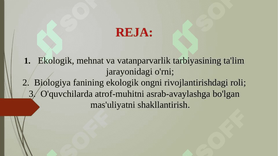 Biologiyani o'qitishda o'quvchilarda ekologik, mehnat va vatanparvarlik tarbiyasini shakllantirish (TAQDIMOT) 2