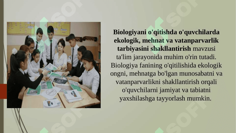Biologiyani o'qitishda o'quvchilarda ekologik, mehnat va vatanparvarlik tarbiyasini shakllantirish (TAQDIMOT) 3