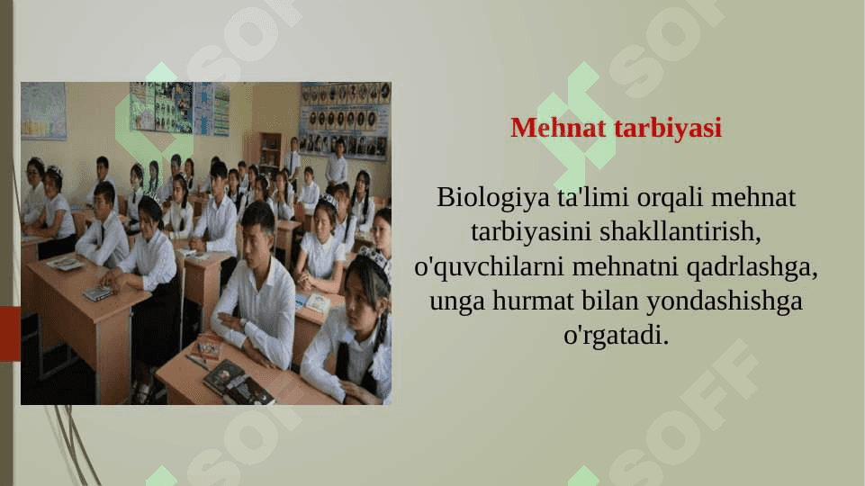 Biologiyani o'qitishda o'quvchilarda ekologik, mehnat va vatanparvarlik tarbiyasini shakllantirish (TAQDIMOT) 7