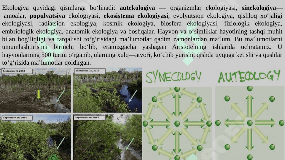 Ekologya kursi, vazifasi, maqsadi, tuzilmasi va tarixi, fanning o`rganish usullari 4