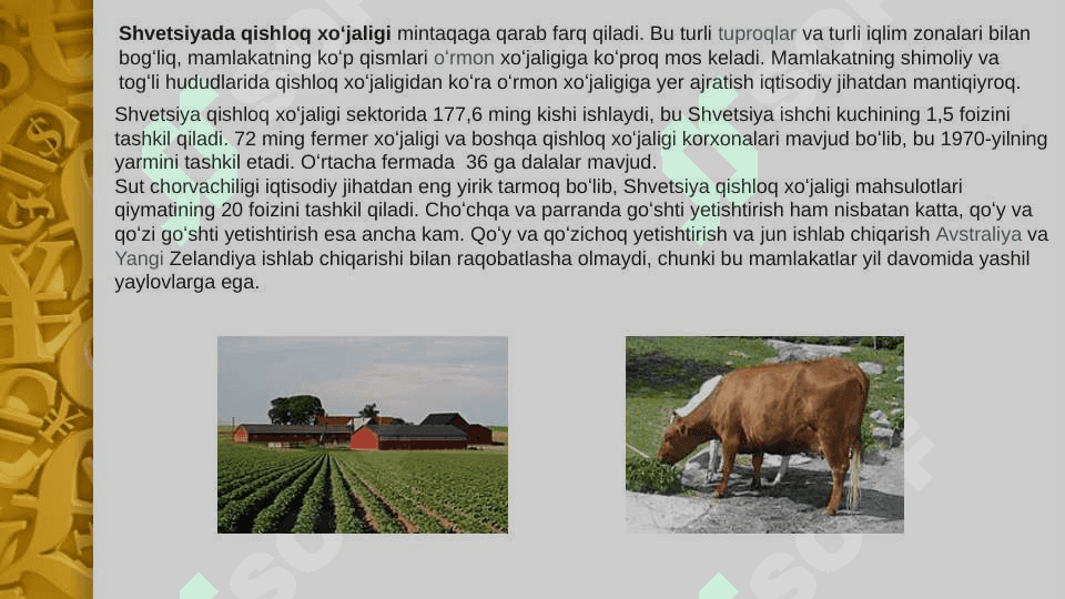 shvetsariya va gollandiya iqtisodiyoti 4