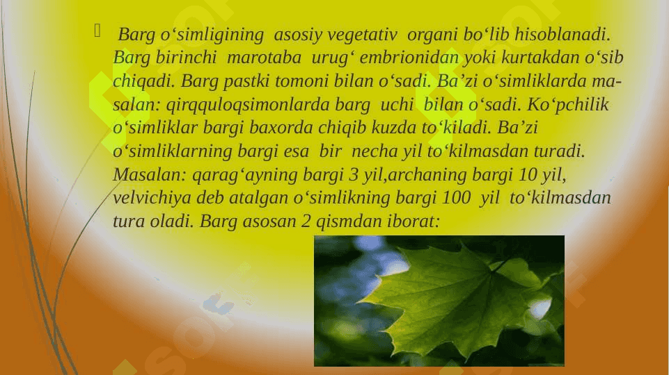 Barg metamarfozi 2