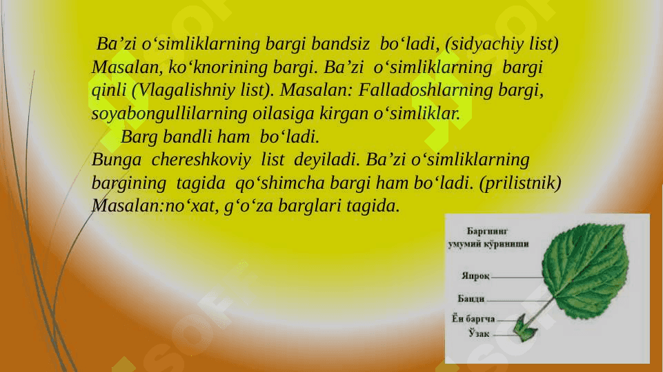 Barg metamarfozi 3