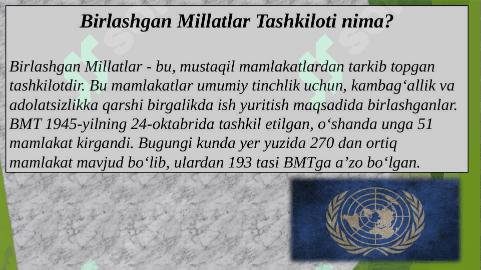 Birlashgan Millatlar Tashkiloti haqida umuumiy tushuncha 2
