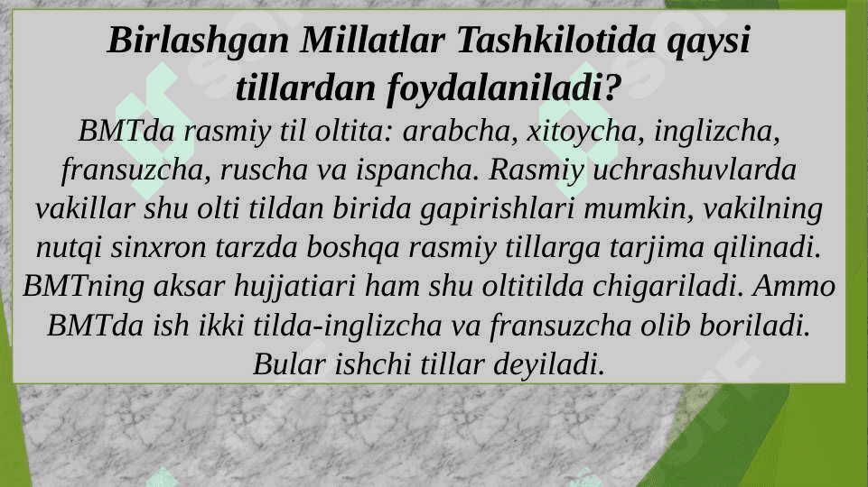 Birlashgan Millatlar Tashkiloti haqida umuumiy tushuncha 4