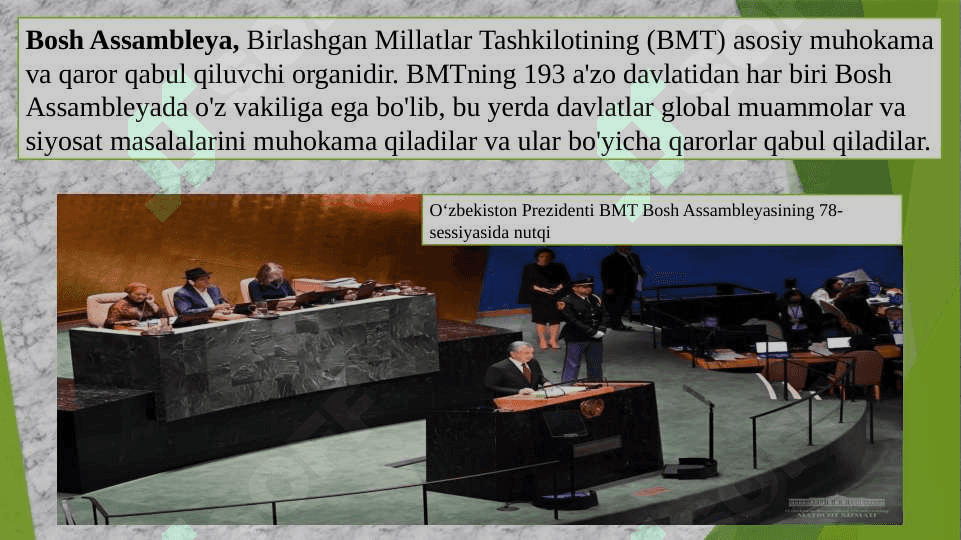 Birlashgan Millatlar Tashkiloti haqida umuumiy tushuncha 8