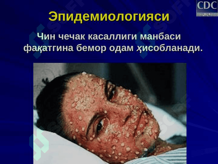 Чин чечак 8