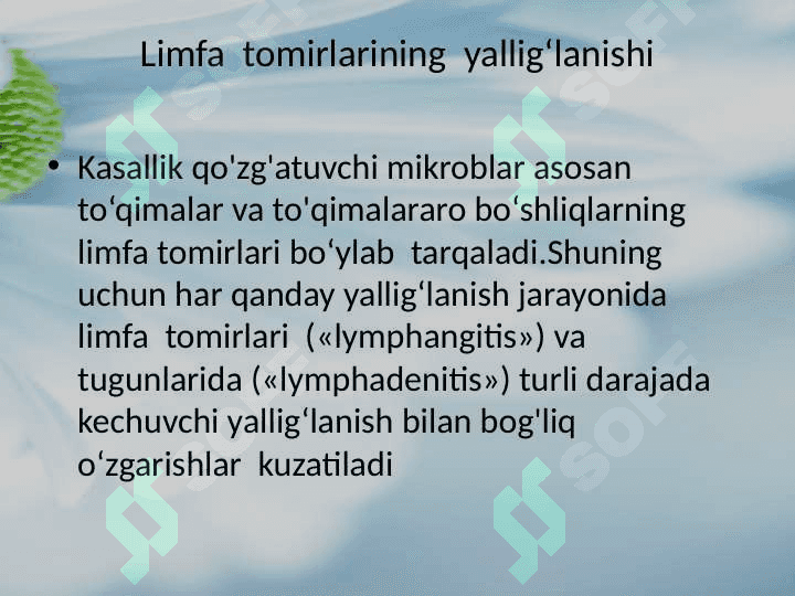 Limfa tugunlari,qon va limfa tomirlari yiringli yallig’lanish kasalliklari: limfadenit,limfangit,  tromboflebit 2