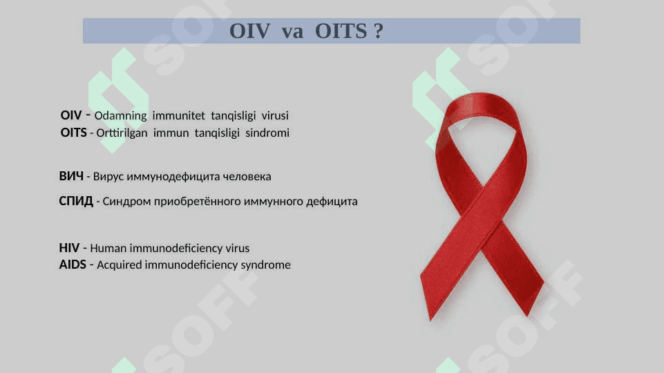 OIV va OITS 3
