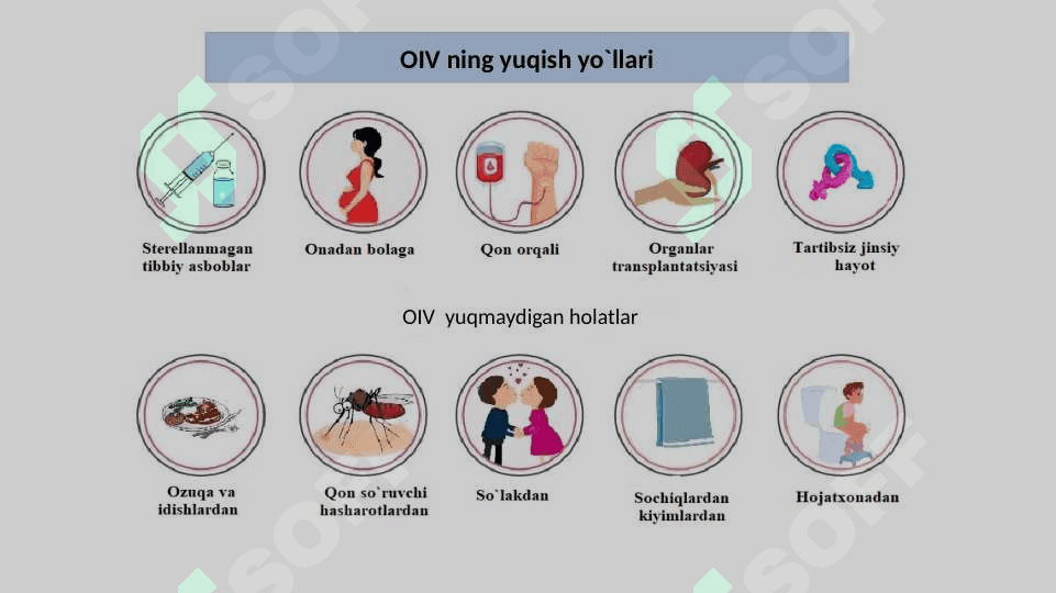 OIV va OITS 7