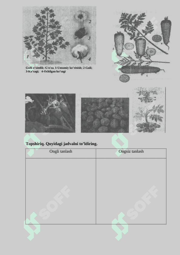 BIOLOGIYADAN LABAROTORIYA MASHGULOTLARI 6