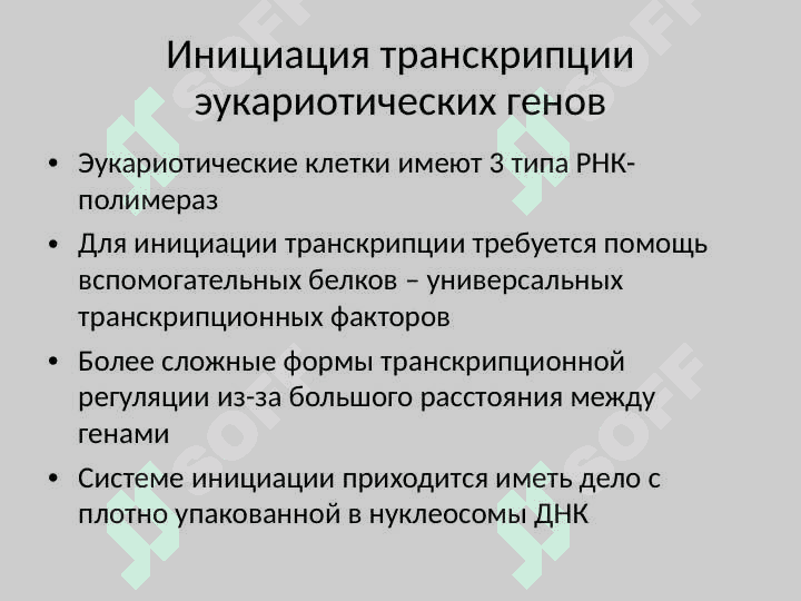 Транскрипция 7