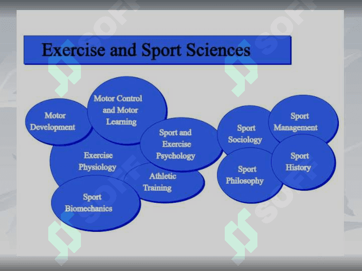Sport and exercises 3
