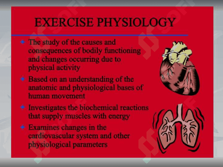 Sport and exercises 4