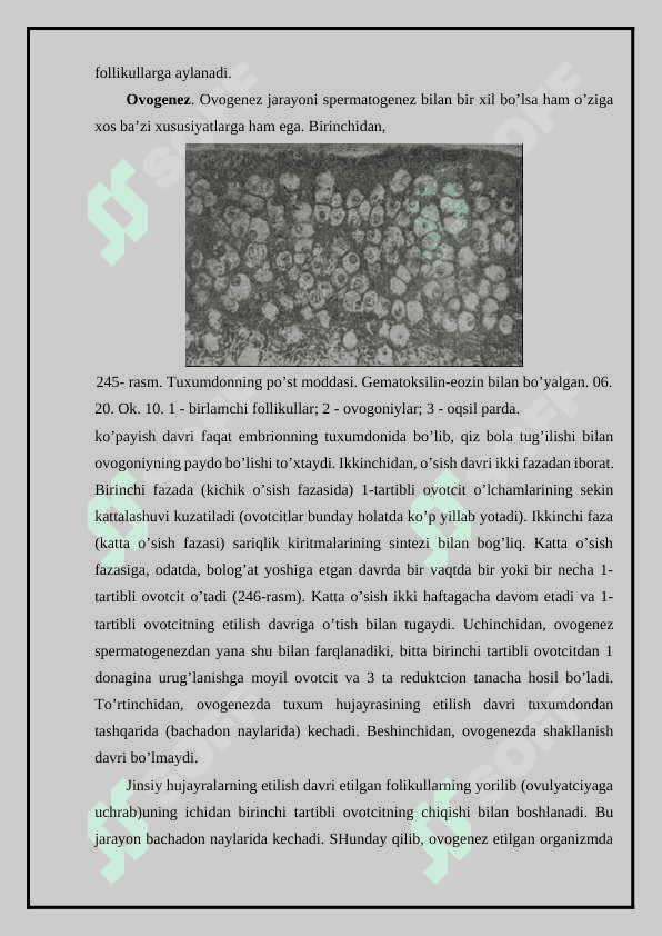 Ayollar jinsiy a’zolari 2