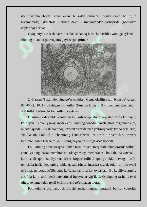 Ayollar jinsiy a’zolari 3