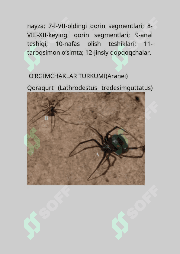 BO’G’IMOYOQLILARNING KENG TARQALISH SABABLARI 8