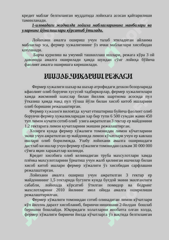 Замонавий  иссиқхоналар ташкил этиш бўйича  Бизнес режа 6