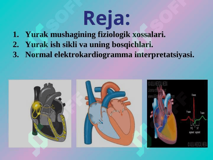 Yurakning gemodinamik vazifasi. Yurak muskulining asosiy fiziologik xossalari. 2