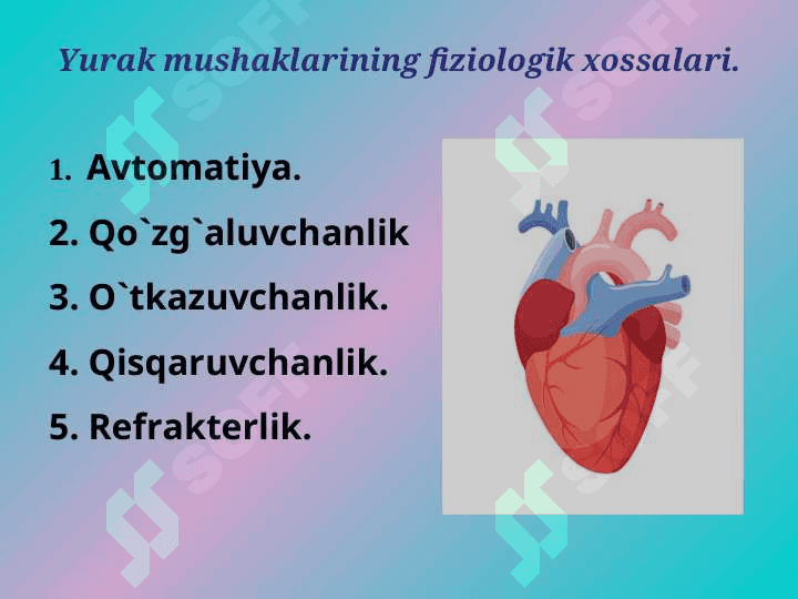 Yurakning gemodinamik vazifasi. Yurak muskulining asosiy fiziologik xossalari. 4