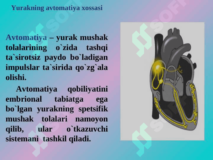Yurakning gemodinamik vazifasi. Yurak muskulining asosiy fiziologik xossalari. 5