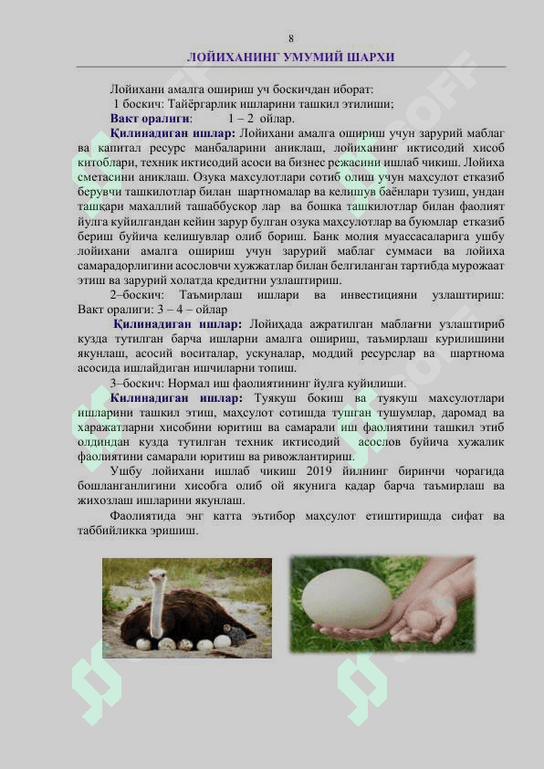 Tuyaqush yetishtirish biznes rejasi 8
