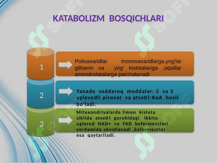 Metabalizm jarayonida energiyaning hosil bo'lishi va sarflanishi 8