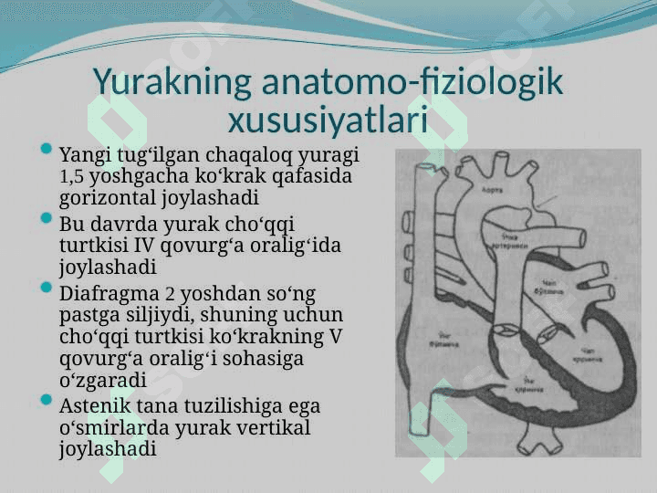 BOLALARDA YURAK-QON TOMIR TIZIMINING ANATOMO-FIZIOLOGIK XUSUSIYATLARI 6