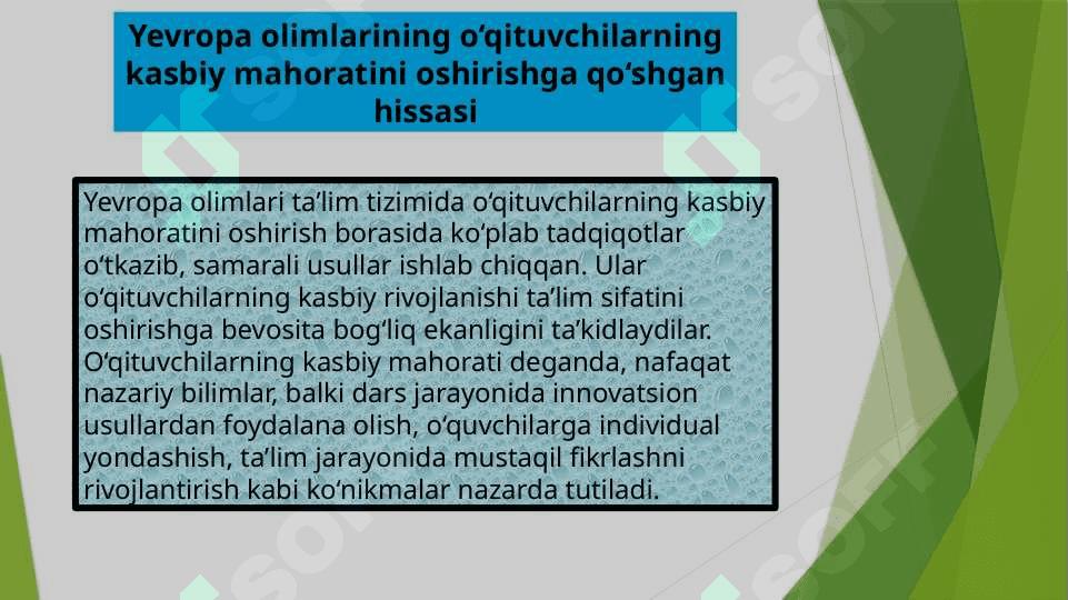 Yevropa olimlari o’qituvchilarning kasbiy mahoratini takomillashtirish 2
