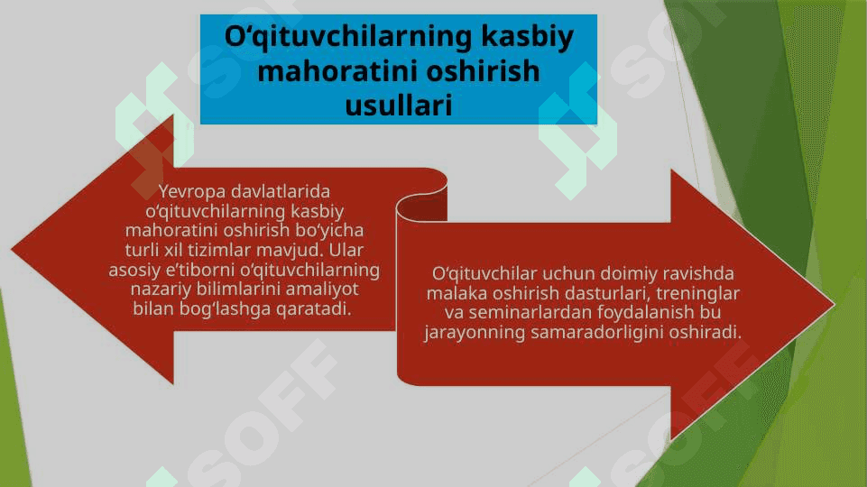 Yevropa olimlari o’qituvchilarning kasbiy mahoratini takomillashtirish 8