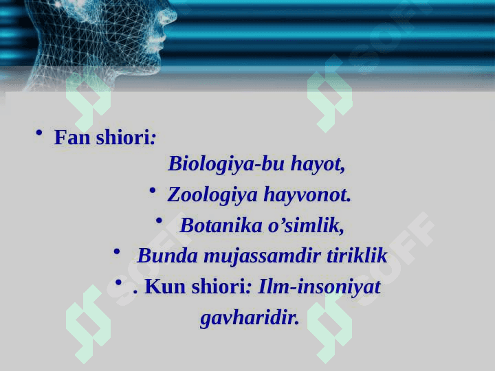 NERV SISTEMASI 6