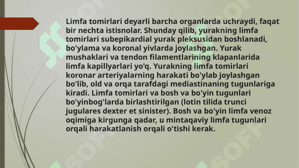 limfa tomirlari rivojlanishiga va tuzilishiga ijtimoiy va biologik muhitlarning ta`siri 5