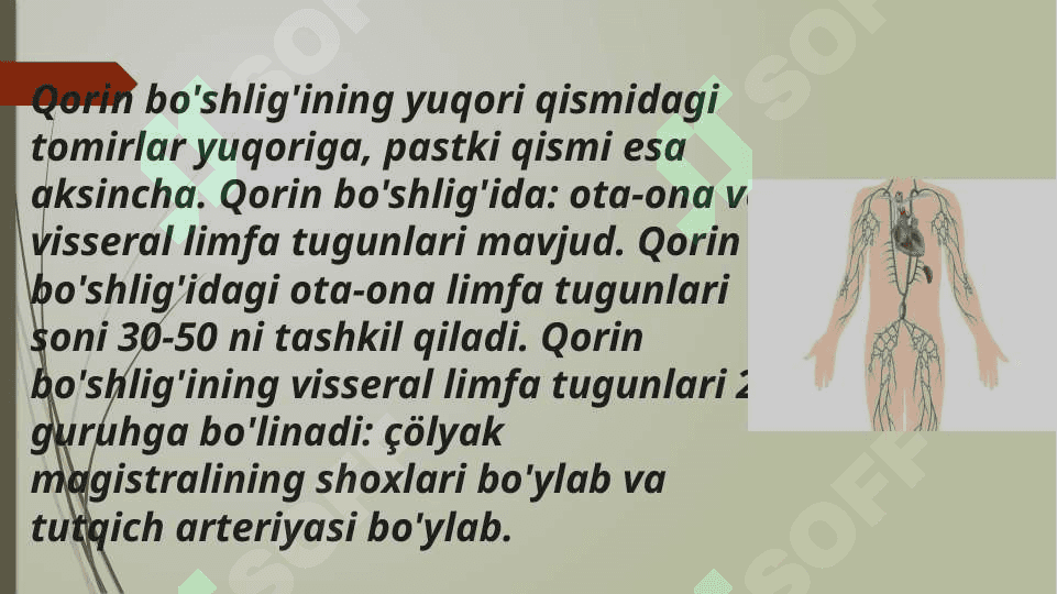 limfa tomirlari rivojlanishiga va tuzilishiga ijtimoiy va biologik muhitlarning ta`siri 6