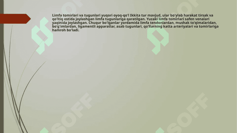 limfa tomirlari rivojlanishiga va tuzilishiga ijtimoiy va biologik muhitlarning ta`siri 7