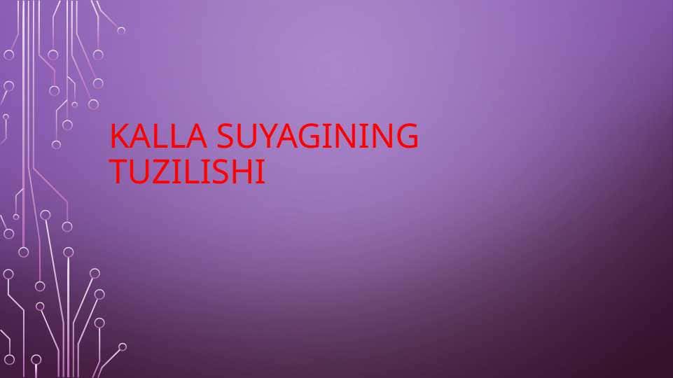 Kalla suyagining tuzilishi 1