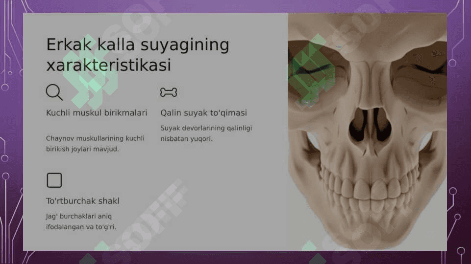 Kalla suyagining tuzilishi 3