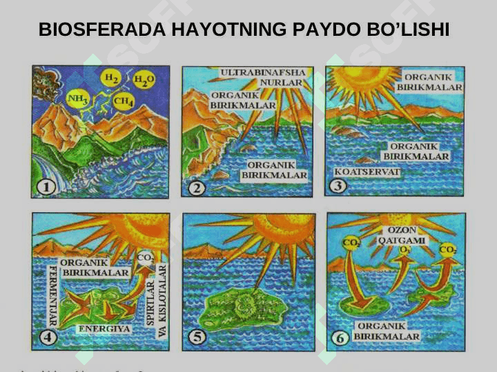 BIOSFERA  VA  UNING  TARKIBI, MODDALARNING  AYLANISHI 3
