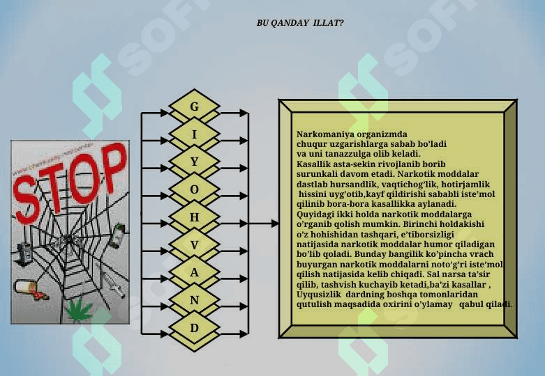 Giyohvand moddalar 4