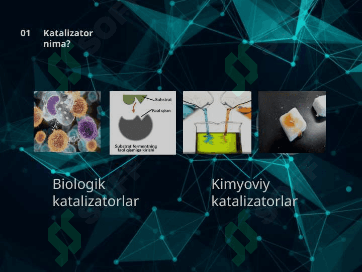 Katalizatorlarning fizik ko’rsatkichlari Ularning katolik xossasiga ta’siri 5
