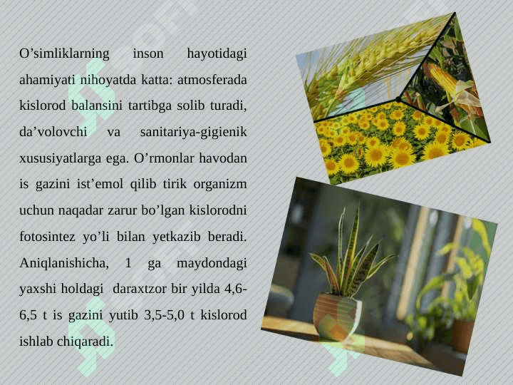 Biologik resurslardan oqilona foydalanish masalalari 4