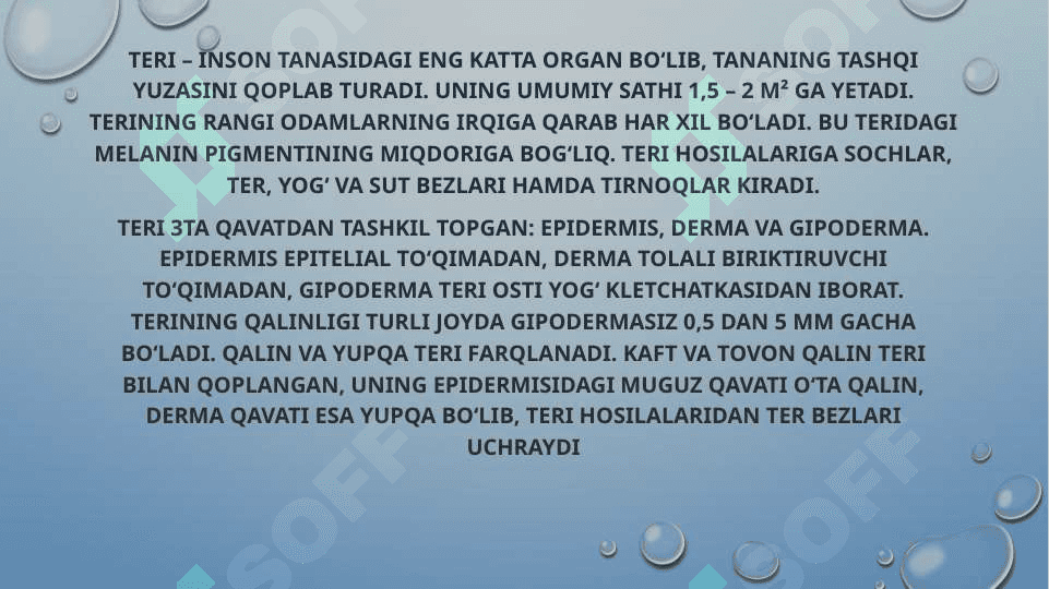Terining fiziologiyasi va yoshga bog‘liq xususiyatlari 3