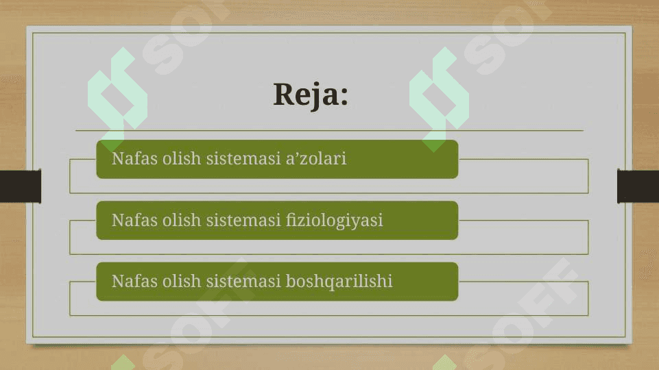 NAFAS SISTEMASI,FIZIOLOGIYASI VA BOSHQARILISHI 3
