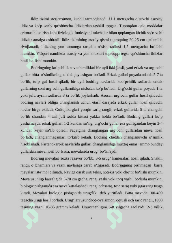 BODRINGNING FUZARIOZ KASALLIKLARIGA QARSHI MIKROB -ANTOGANISTLARINI  QO’LLASH 8