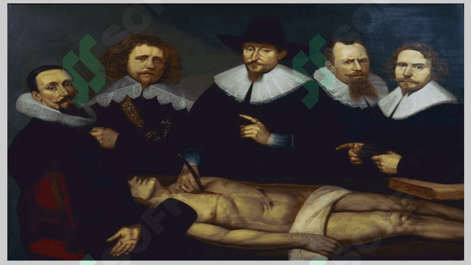 Uyg’onish davrida anatomik bilimlarning rivojlanishi 4