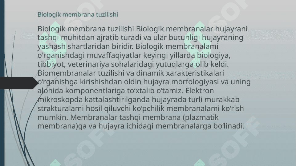 IKKI QAVATLI LIPID MEMBRANALARI IONINING INDUKSIYALANGAN TRANSPORTI 3