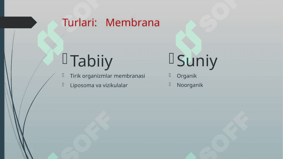 IKKI QAVATLI LIPID MEMBRANALARI IONINING INDUKSIYALANGAN TRANSPORTI 4