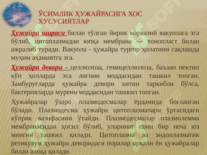 O'simlik to'qimalari 7